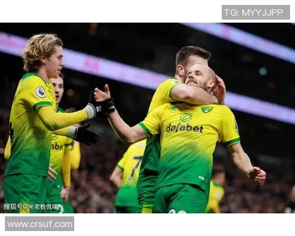 诺维奇与热刺历史交锋回顾及战绩分析