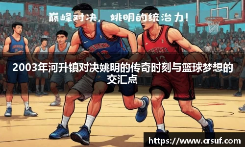 2003年河升镇对决姚明的传奇时刻与篮球梦想的交汇点