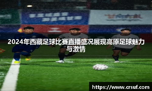 2024年西藏足球比赛直播盛况展现高原足球魅力与激情