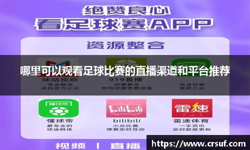 哪里可以观看足球比赛的直播渠道和平台推荐