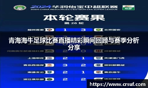 青海海牛足球比赛直播精彩瞬间回顾与赛季分析分享