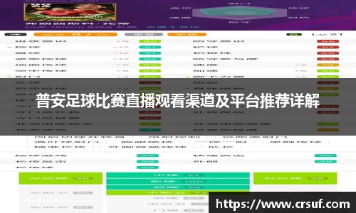 普安足球比赛直播观看渠道及平台推荐详解