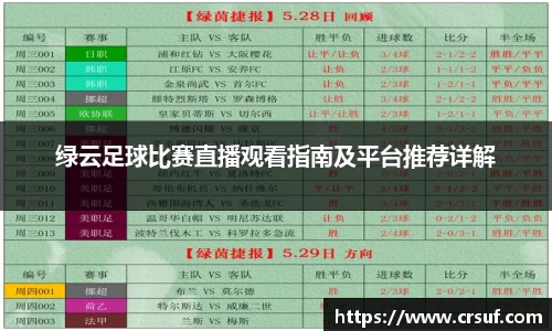 绿云足球比赛直播观看指南及平台推荐详解