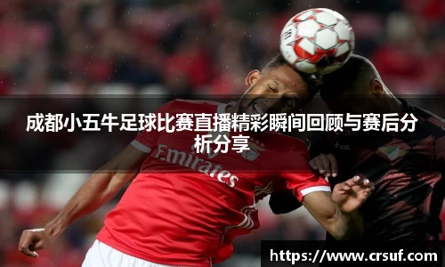 成都小五牛足球比赛直播精彩瞬间回顾与赛后分析分享