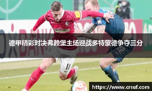 德甲精彩对决弗赖堡主场迎战多特蒙德争夺三分